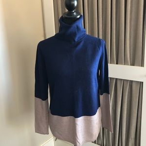 NWT Colorblock Turtleneck